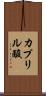 カプリル酸 Scroll