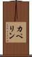カペリン Scroll
