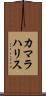 カマラハリス Scroll