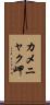 カメニャク岬 Scroll