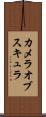 カメラオブスキュラ Scroll