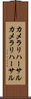 カメラリハーサル Scroll