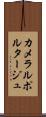 カメラルポルタージュ Scroll