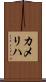 カメリハ Scroll