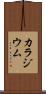カラジウム Scroll