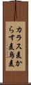カラス麦 Scroll