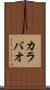 カラバオ Scroll