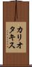 カリオタキス Scroll