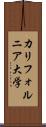 カリフォルニア大学 Scroll