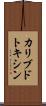 カリブドトキシン Scroll