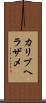 カリブヘラザメ Scroll