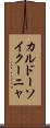 カルドーソイクーニャ Scroll