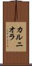 カルニオラ Scroll