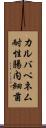 カルバペネム耐性腸内細菌 Scroll