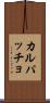 カルパッチョ Scroll