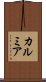 カルミア Scroll