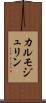 カルモジュリン Scroll