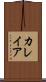 カレイア Scroll