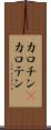 カロチン(P) Scroll