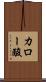 カロー酸 Scroll