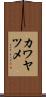 カワヤツメ Scroll