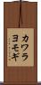 カワラヨモギ Scroll