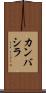 カンバシラ Scroll