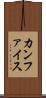 カンファイス Scroll