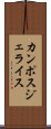 カンポスジェライス Scroll