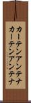 カーテンアンテナ Scroll