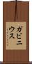 ガビニウス Scroll