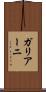 ガリアーニ Scroll