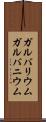 ガルバリウム Scroll
