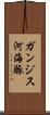 ガンジス河海豚 Scroll