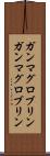 ガンマグロブリン Scroll
