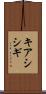 キアシシギ Scroll
