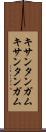 キサンタンガム Scroll