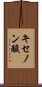 キセノン酸 Scroll