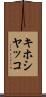 キホシヤッコ Scroll