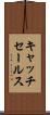 キャッチ・セールス Scroll