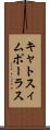 キャトスィムポーラス Scroll