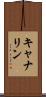 キャナリン Scroll