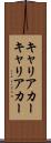 キャリアカー Scroll