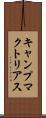 キャンプマクトリアス Scroll