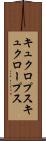 キュクロプス Scroll