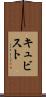 キュビスト Scroll