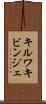 キルワキビンジェ Scroll