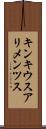 キンキウスアリメンツス Scroll