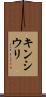 キンシウリ Scroll