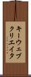 キーウェブクリエイタ Scroll
